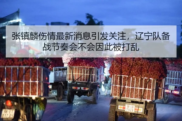 张镇麟伤情最新消息引发关注，辽宁队备战节奏会不会因此被打乱